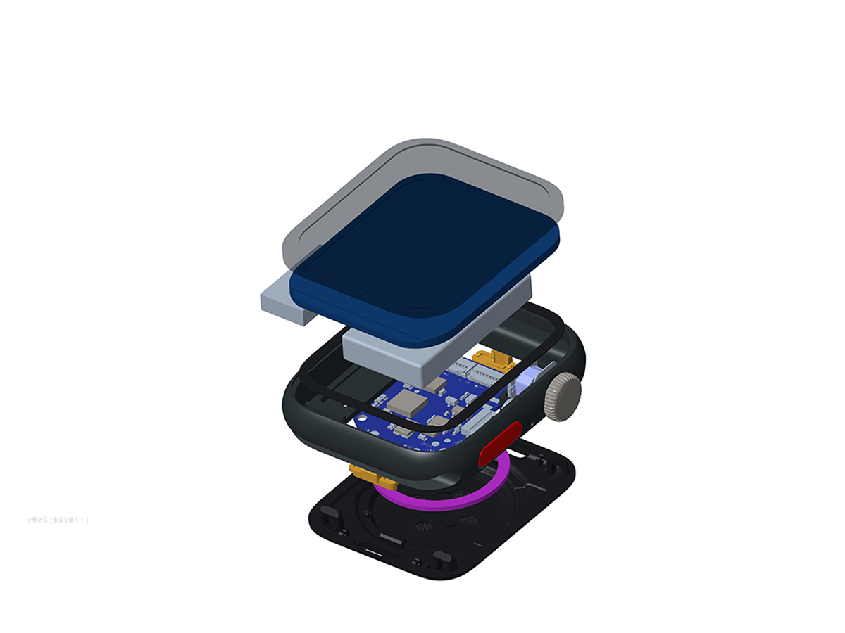 智能手表市場(chǎng)的新寵兒